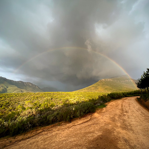 Coetzenburg Rainbow